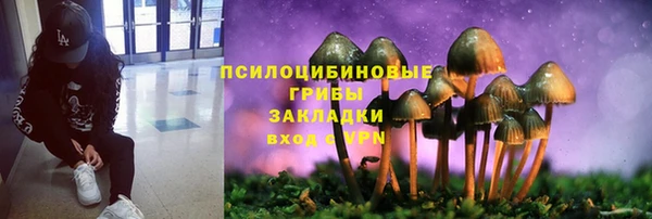 ALPHA PVP Киреевск