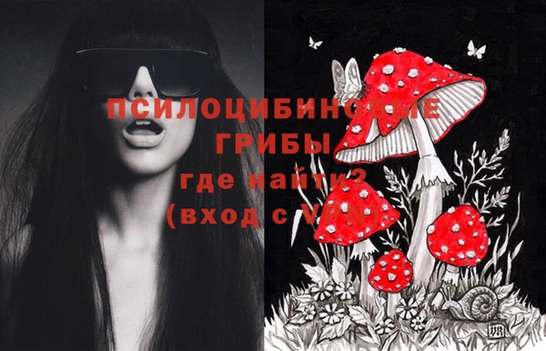 молекула духа Кинешма
