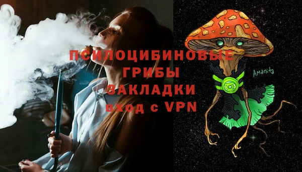молекула духа Кинешма