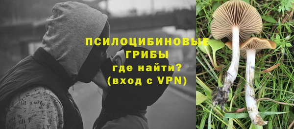молекула духа Кинешма