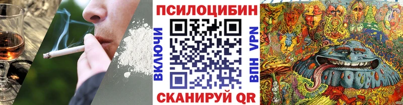 Купить закладки  Гулькевичи  Псилоцибиновые грибы Magic Shrooms 